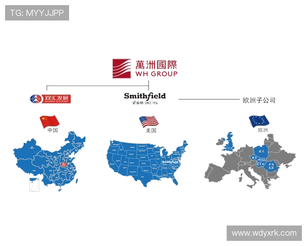 问鼎国际网页：企业如何通过国际网页设计实现品牌全球化与市场拓展